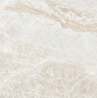 Kraken Polished 24 x 24 Kraken Polished 24 x 24